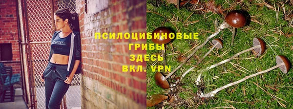 прущая мука Белокуриха