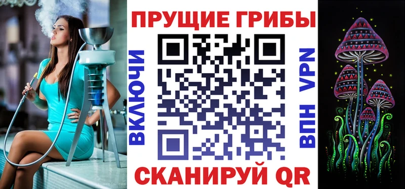 наркота Михайлов omg зеркало Галлюциногенные грибы GOLDEN TEACHER